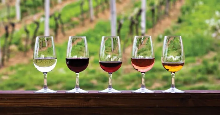 Five wine glasses in a row showing white, red, rose, and amber wines in front of a vineyard
